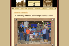 Swaner Brahmans - Show Cattle