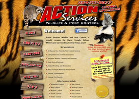 Action Services Wildlife & Pest Control - Waco, Texas