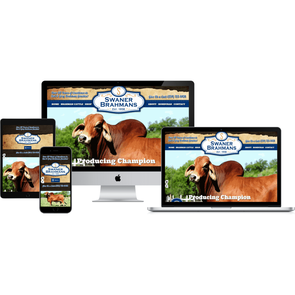 Innovative Solutions Website & Graphic Design Swaner Brahmans Cattle Ranch Web Design