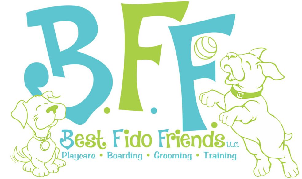 Best Fido Friends Logo Branding Design Innovative Solutions Waco